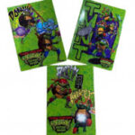 Turtles Quaderno Maxi Rig.B