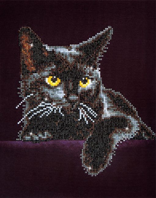 15c752db35d4232e3cc2c650aa9c9294 Diamond Dotz Midnight Cat - immagine 1
