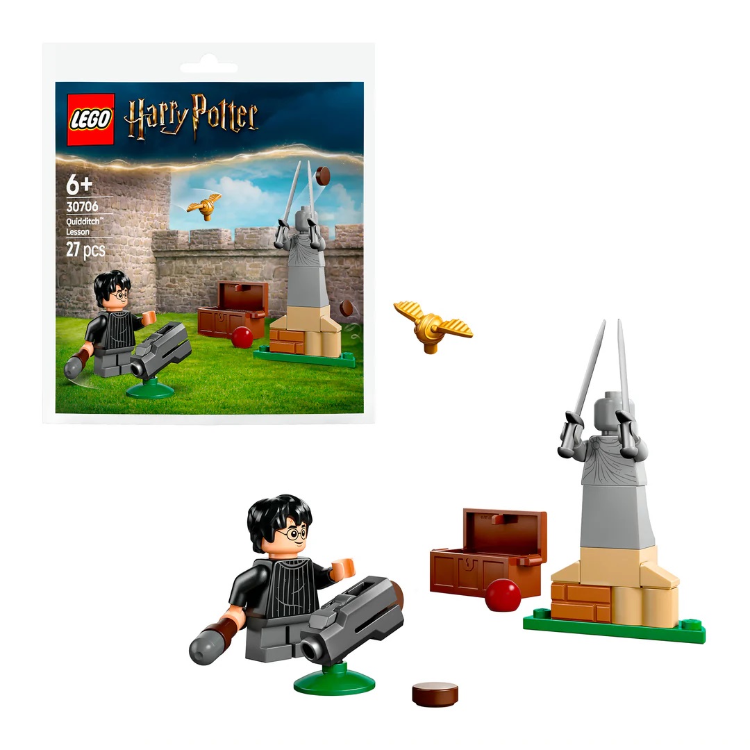 2172944946f7cfde23c6aff46ff4b92b Lego Harry Potter Lezione di Quidditch - immagine 1