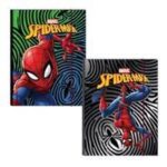 CARTELLA CON ELASTICI DS01 # SPIDER-MAN