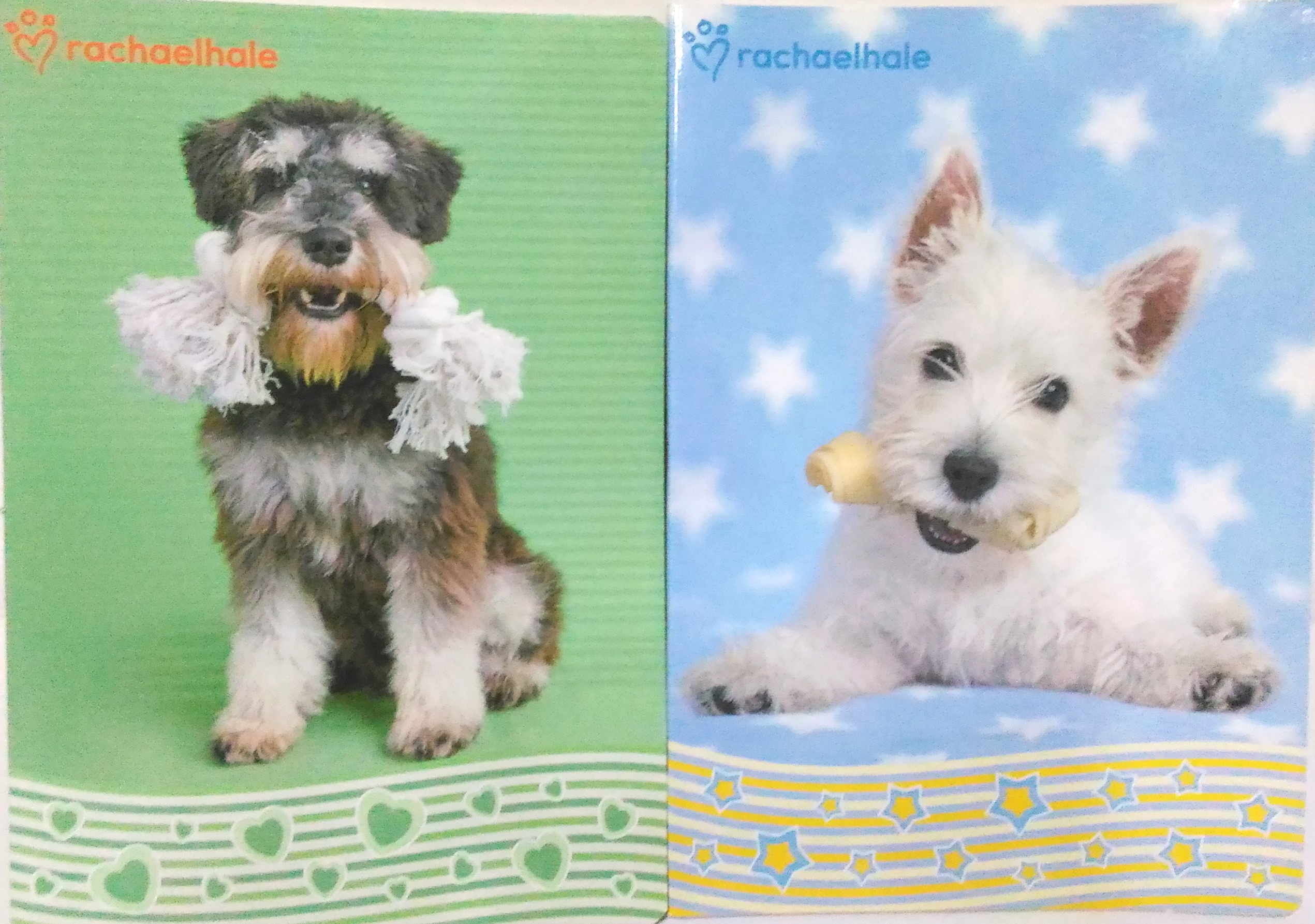 46fa607382529d6bc9e41b51a197d3b0 RACHAEL HALE Quaderno MAXI 100 GR 16FF+1 A COLOR WAVE R - immagine 1