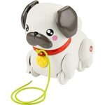 Fisher Price Carlino Cammina con Me