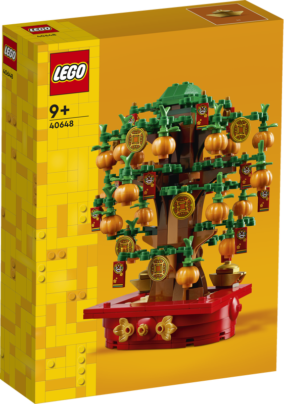 92b21ea3a8be14ff27356b5f6b22541a Lego L’albero dei soldi - immagine 1