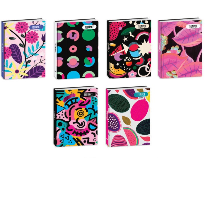 b11eb5d079f43a9cc48a373c78e53c44 DIARIO STD 12M #R TEENACE DIARI - immagine 1