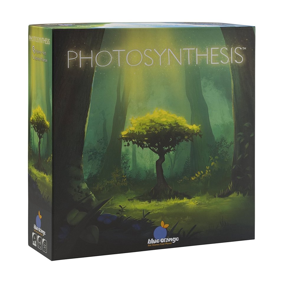 bb3a5338d2987498b9eeb8237e6f13cd Photosynthesis - immagine 1
