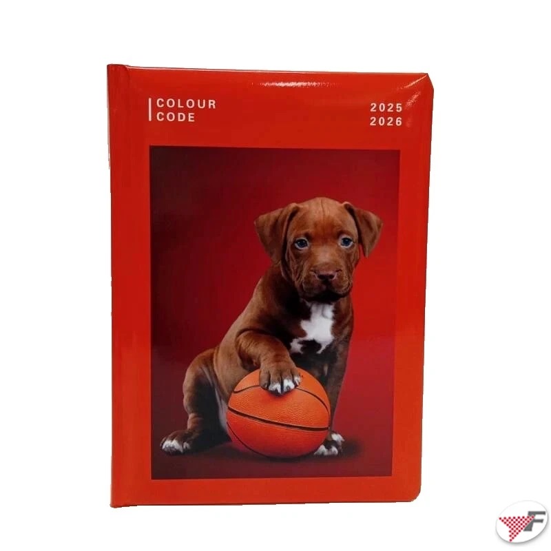 c31449a98c1758e898b12e6eca328d01 DIARIO AG.10M DATATO # COLOUR CODE ANIMAL SNAPSHOT - immagine 1