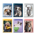 QUADERNO MAXI 96/100 # COLOUR CODE ANIMAL SNAPSHOT