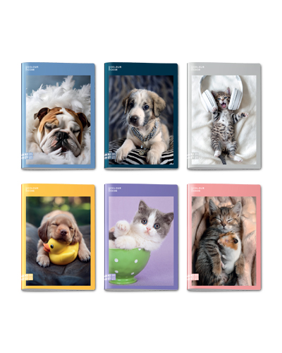 2981c460372e98c318c5e82d44f2e541 QUADERNO MAXI 96/100 # COLOUR CODE ANIMAL SNAPSHOT - immagine 1