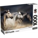 Lisciani Puzzle + Poster Dolomiti Pz.1000