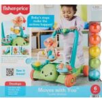 Fisher Price Tartaruga Primi Passi